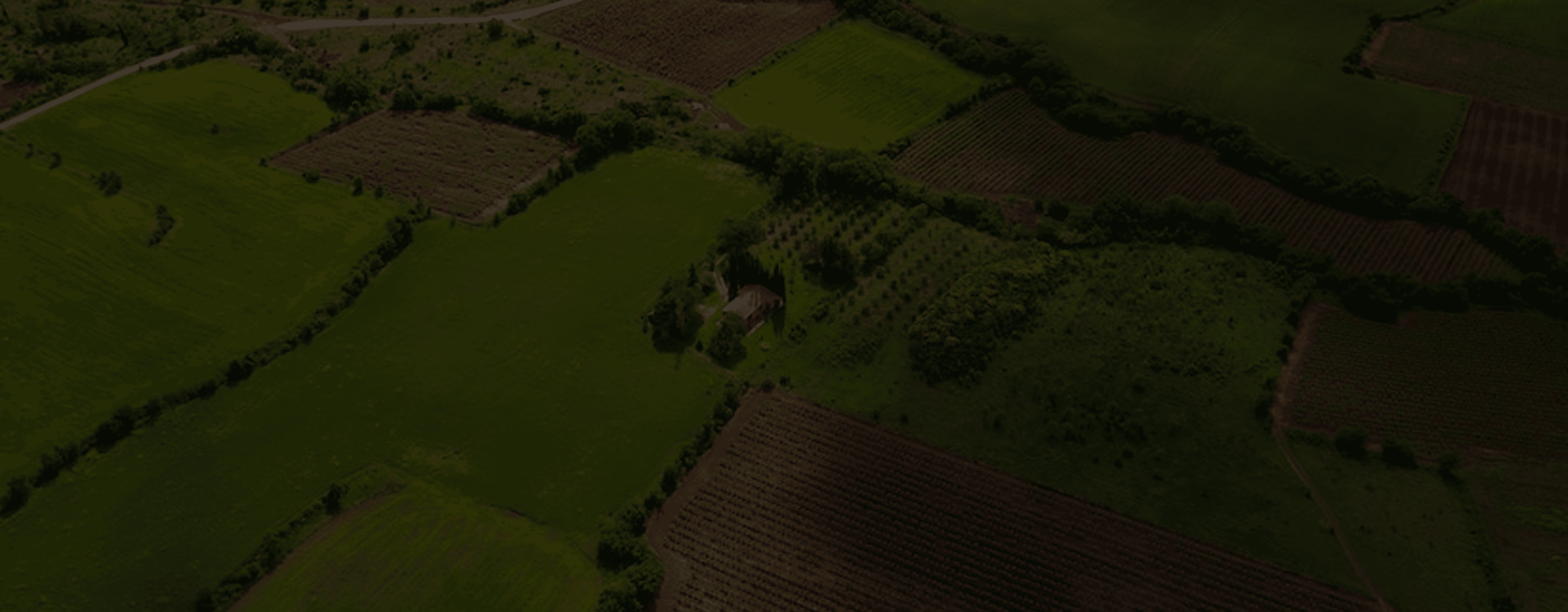 bg-image